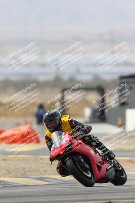 media/Mar-02-2025-Race Pace (Sun) [[8bec80ae00]]/12-Vested (Turn 2) 1111am/